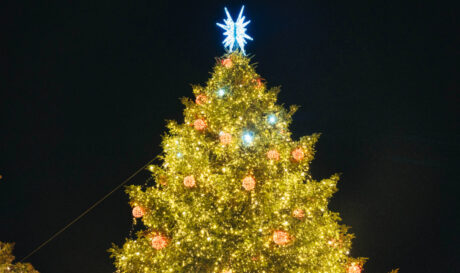 Χριστούγεννα χριστουγεννιάτικο δέντρο