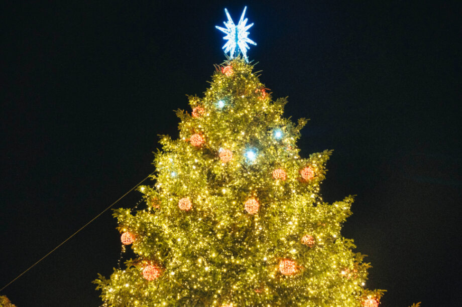 Χριστούγεννα χριστουγεννιάτικο δέντρο