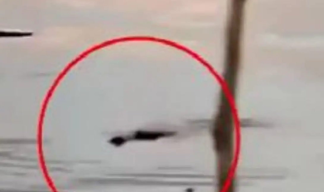 Τραγωδία στην Ινδονησία: 10χρονος βρήκε φρικτό θάνατο – Τον κατασπάραξε κροκόδειλος – Δείτε βίντεο