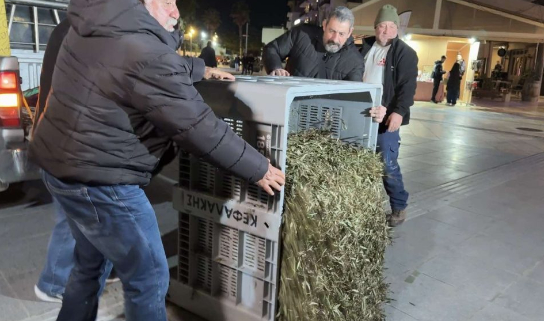 Ηράκλειο: Αγρότες έριξαν συμβολικά φύλλα ελιάς έξω από την Περιφέρεια (Φωτογραφίες)