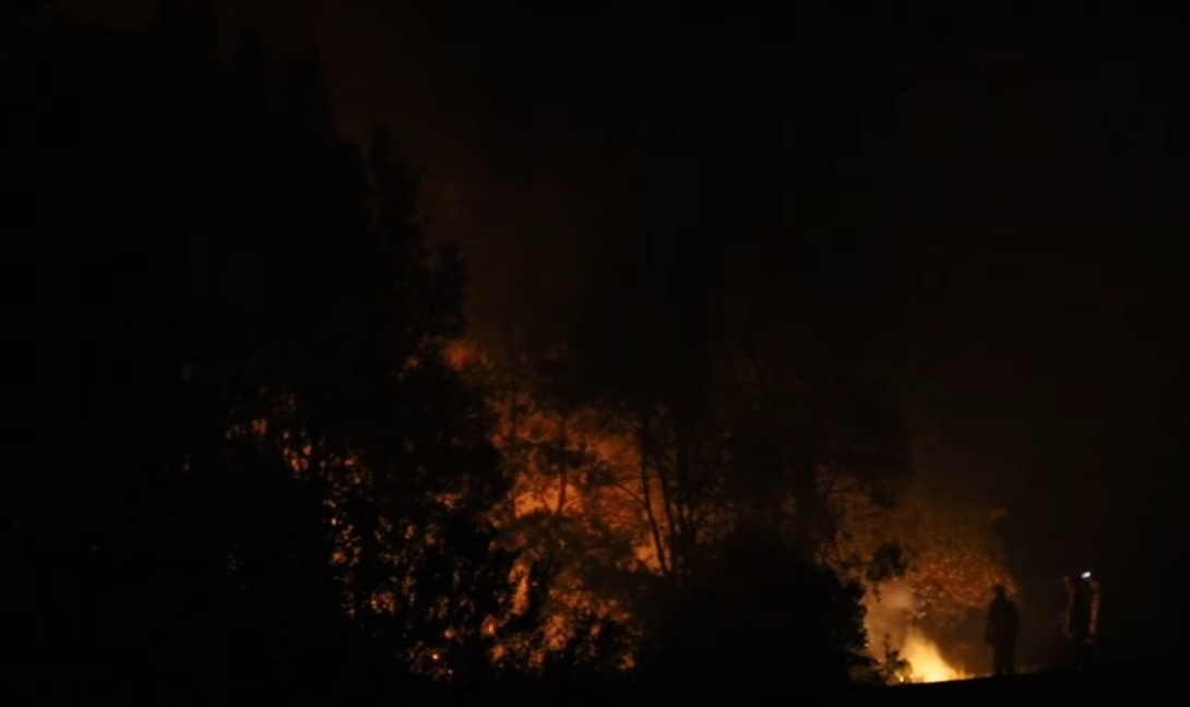 Καύσωνας και καταστροφικές πυρκαγιές πλήττουν την Αυστραλία! (βίντεο)