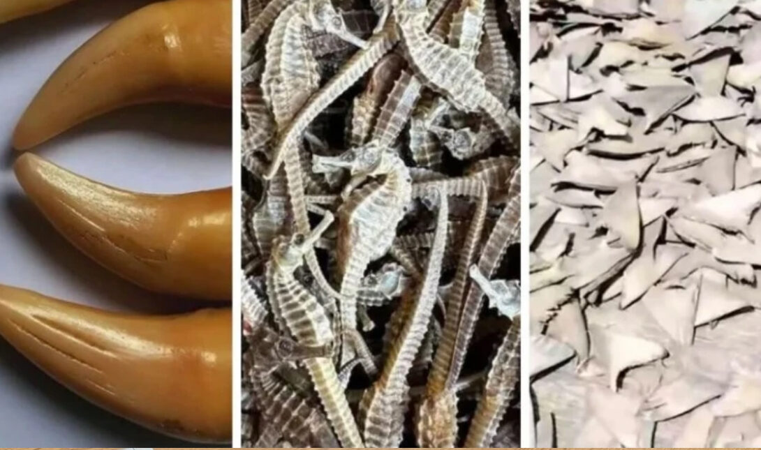 Πώληση ειδών Facebook