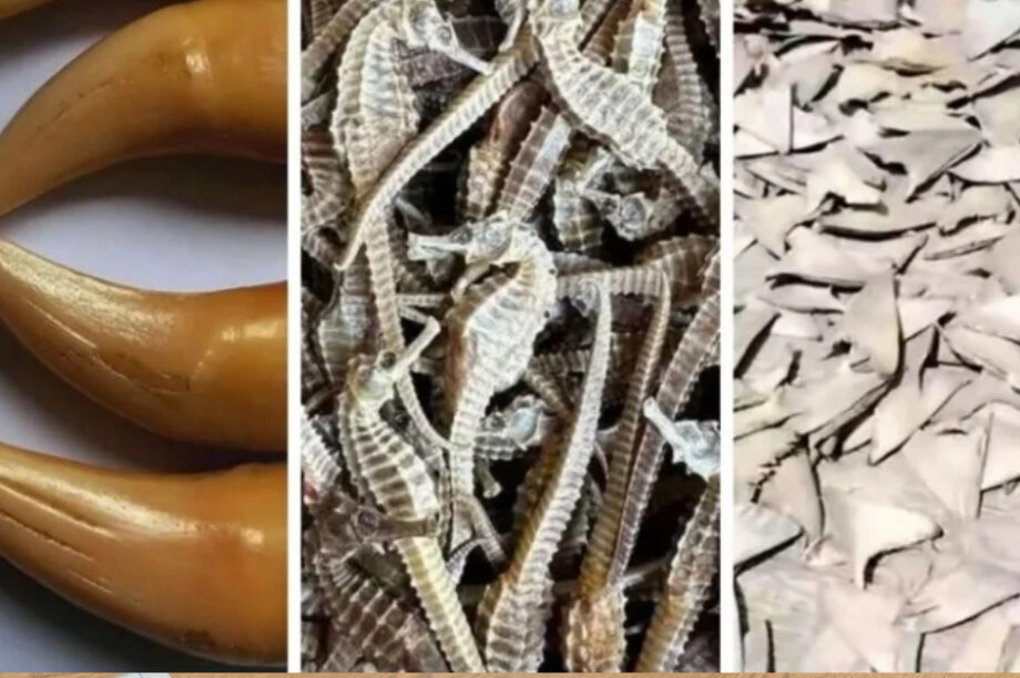 Πώληση ειδών Facebook