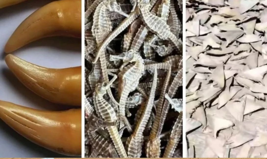 Πώληση ειδών Facebook