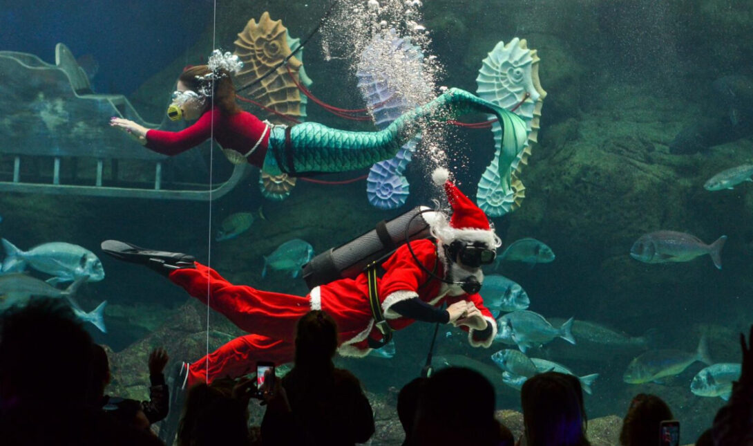 Ενυδρείο Άγιος Βασίλης