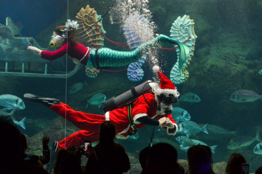 Ενυδρείο Άγιος Βασίλης