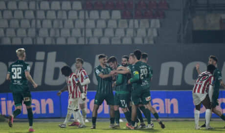 Λεβαδειακός Πανσερραϊκός