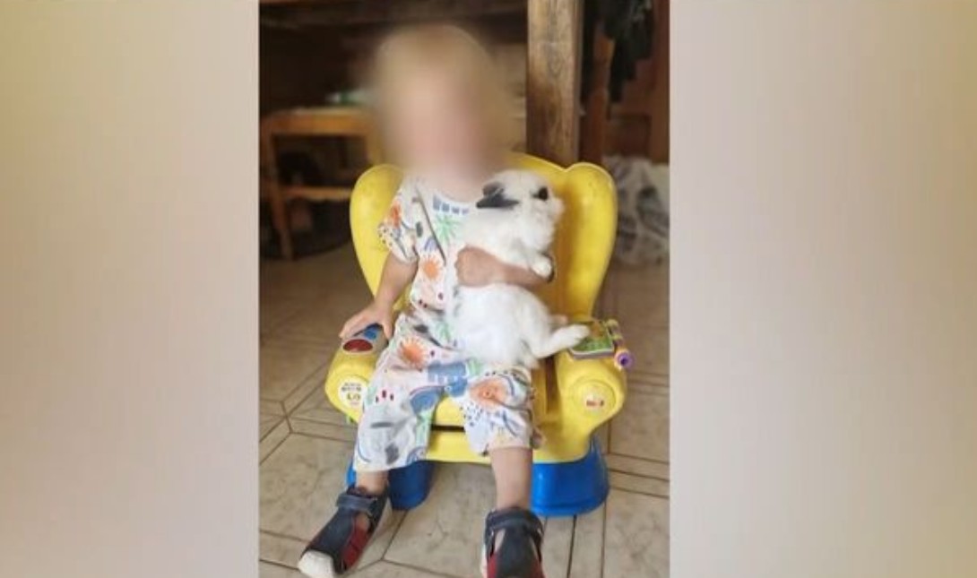 Ζάκυνθος: Την Τετάρτη η κηδεία του 2χρονου Λίο που έχασε τη ζωή του από πίτμπουλ