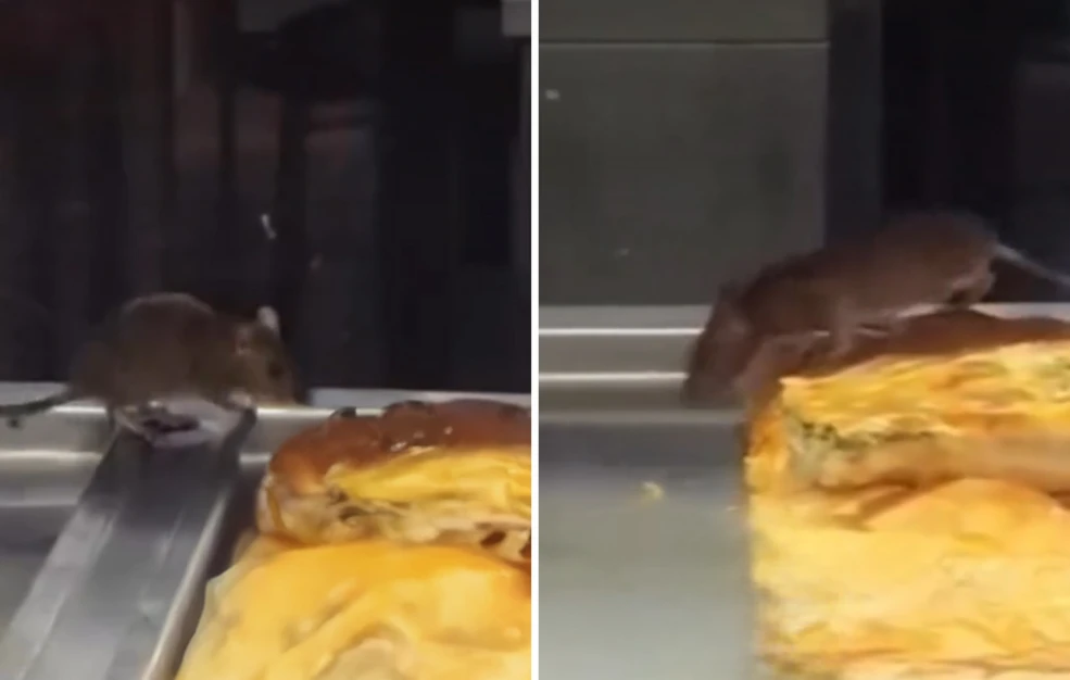 Αποτρόπαιο θέαμα στην Τουρκία: Ποντίκι σε βιτρίνα με μπουρέκια στη Σμύρνη