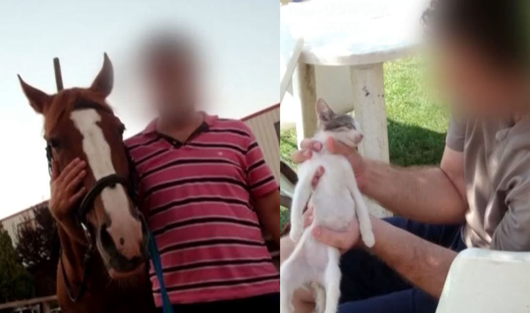 κτηνίατρος Κυπαρισσία