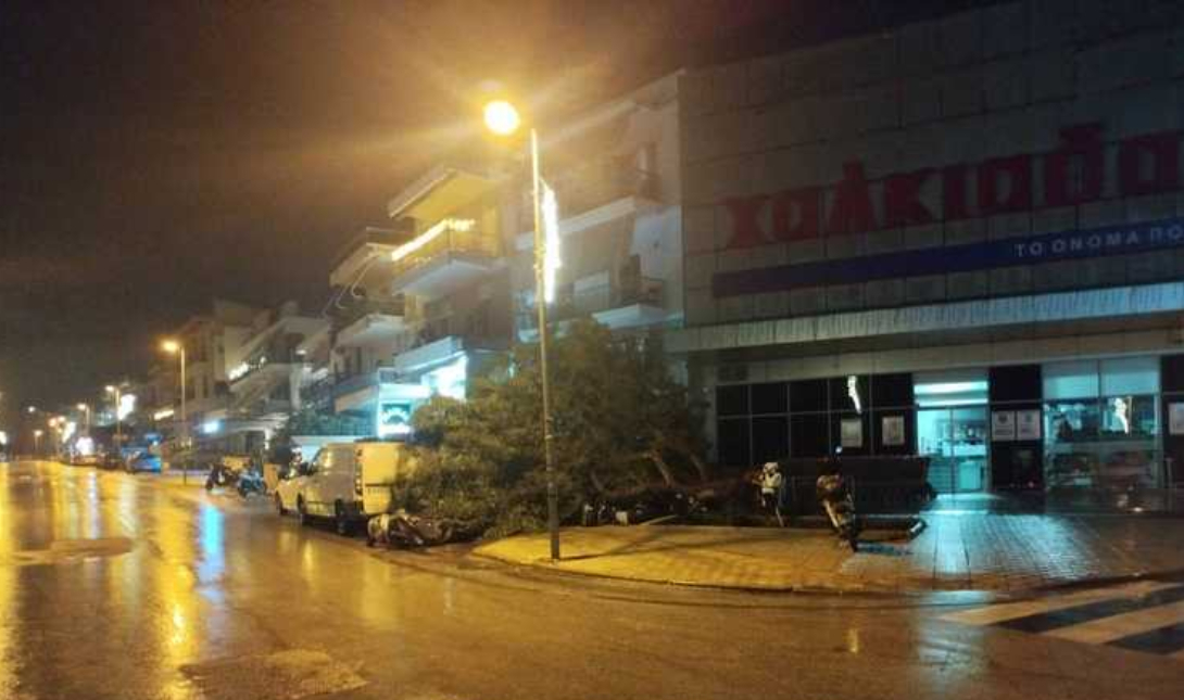 Άγιος Νικόλαος: Πτώση δέντρου λόγω κακοκαιρίας – Δείτε φωτο