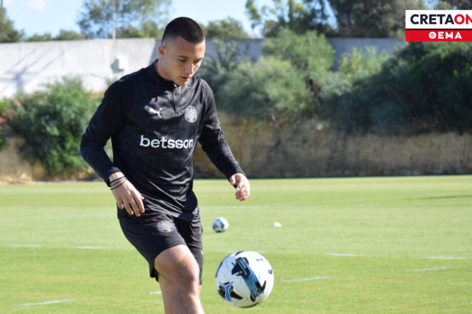 Θεοδοσουλάκης Θέμα