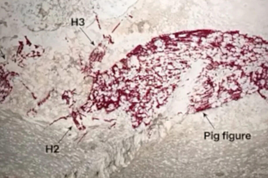 Τοιχογραφία Ινδονησία