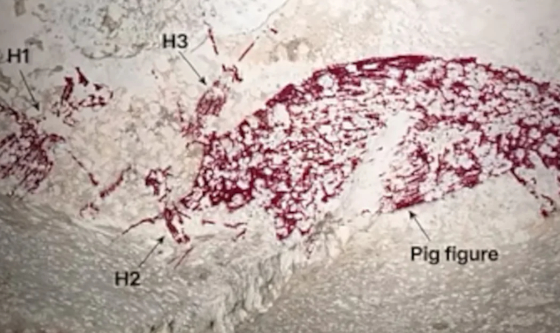 Ανακαλύφθηκε έργο τέχνης ηλικίας… 51.200 ετών!