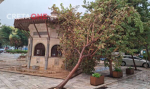 Κακοκαιρία «χτύπησε» το Ηράκλειο: Οι ισχυροί άνεμοι έριξαν δέντρο στην πλατεία Κορνάρου (φώτο, βίντεο)