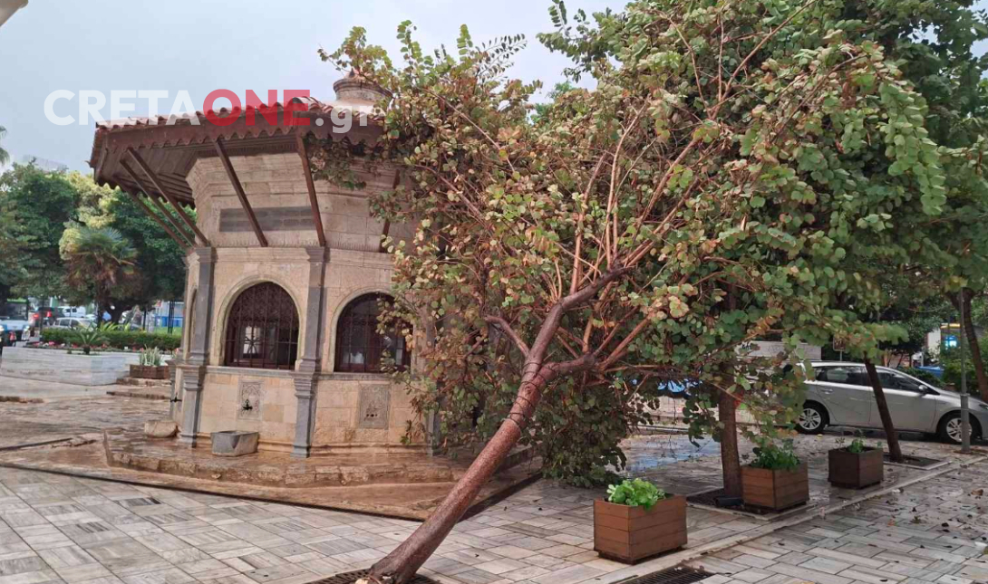 Κακοκαιρία «χτύπησε» το Ηράκλειο: Οι ισχυροί άνεμοι έριξαν δέντρο στην πλατεία Κορνάρου (φώτο, βίντεο)