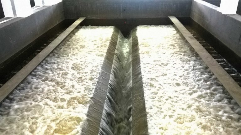 Αποσελέμης