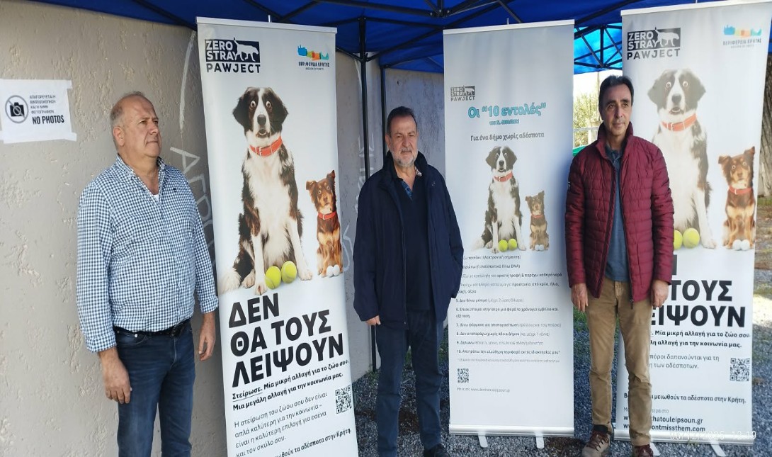 Δήμος Μινώα Πεδιάδας: Ξεκίνησε η μεγάλη δράση στειρώσεων και ταυτοποίησης