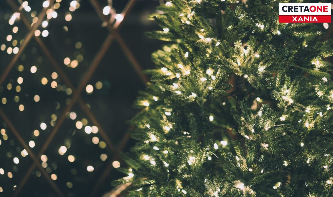 Χανιά: Aύριο Κυριακή 21/12 η φωταγώγηση του Χριστουγεννιάτικου δέντρου 42 μέτρων στον Ομαλό (βίντεο)