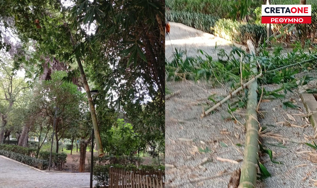 Ρέθυμνο: Βανδαλισμός στον δημοτικό κήπο – Άγνωστοι έκοψαν και κατέστρεψαν φυτά (Φωτογραφίες)