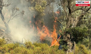 Ρέθυμνο: Πρόστιμο-«φωτιά» σε άνδρα που έκαιγε υπολείμματα καλλιέργειας