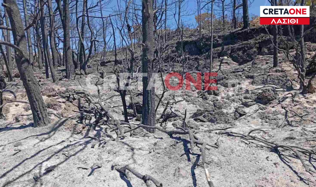 φωτιά Ιεράπετρα