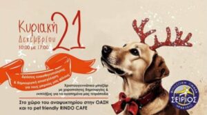 Το Christmas Pet Festival έρχεται στο Ηράκλειο στις 21 Δεκεμβρίου