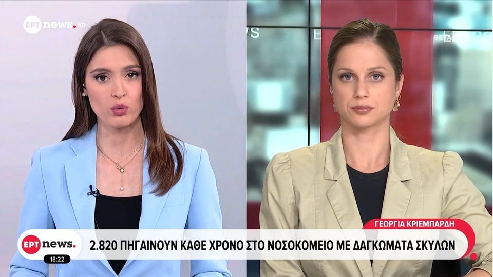 2.820 άνθρωποι στα νοσοκομεία κάθε χρόνο λόγω δαγκωμάτων σκύλων (βίντεο)