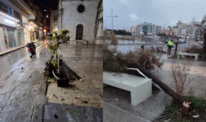 Στο «έλεος» των ανέμων το Ηράκλειο – Πτώσεις δέντρων μετά την κακοκαιρία (Φωτογραφίες)