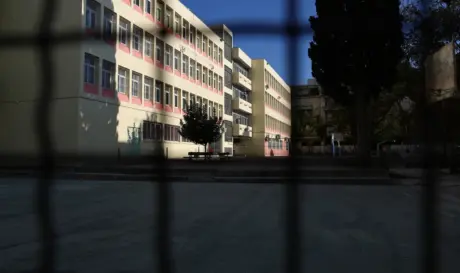 κυψέλη μαχαίρωμα