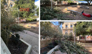 Δέντρο έπεσε σε παιδική χαρά στο κέντρο του Ηρακλείου (φωτογραφίες)