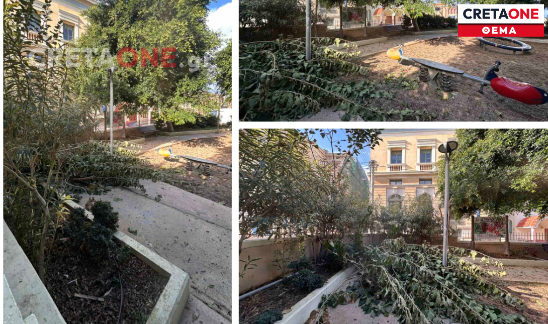 Ηράκλειο: Δέντρο έπεσε σε παιδική χαρά «κάτω από τη μύτη» του Δημάρχου (φωτογραφίες)