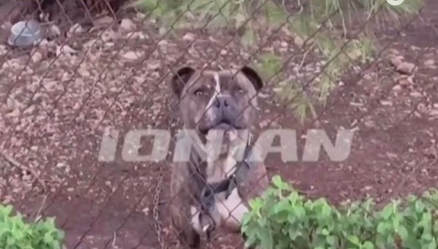 Ζάκυνθος: «Το παιδάκι με κοίταξε, χαμογέλασε και έκλεισε τα ματάκια του», λέει ο πατέρας του 2χρονου