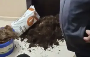 Αγρότες πέταξαν κοπριά και άχυρο σε γραφείο βουλευτή της ΝΔ στη Φλώρινα – Δείτε βίντεο