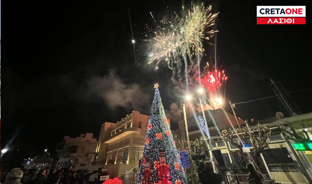 χριστουγεννιάτικο δέντρο Νεάπολη