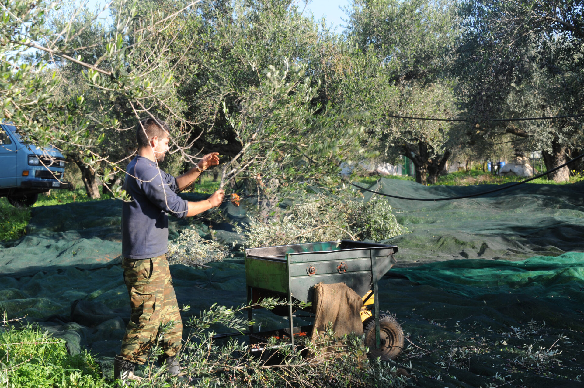 Αυξημένες οι ανάγκες για εργατικά χέρια από το εξωτερικό – Μετάκληση 92.000 εργαζομένων από τρίτες χώρες