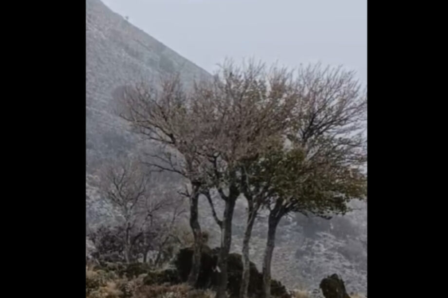 Χιόνια Ασίτες