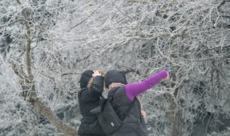Χιόνια χιονόπτωση