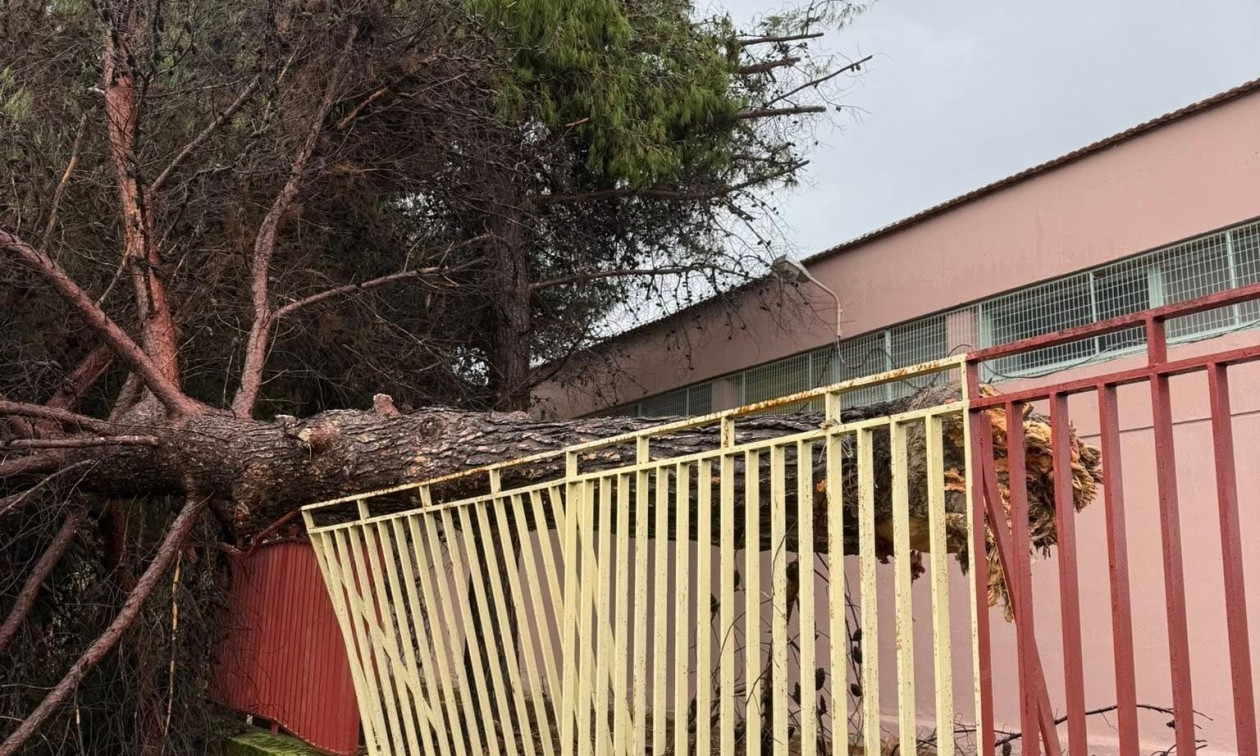 Ανεμοστρόβιλος «σάρωσε» το Μεσολόγγι: Καταστροφές σε δρόμους και καταστήματα (Βίντεο)