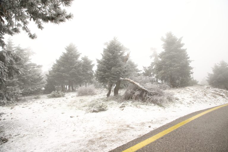 Η Πάρνηθα ντύθηκε στα «λευκά» – Βίντεο