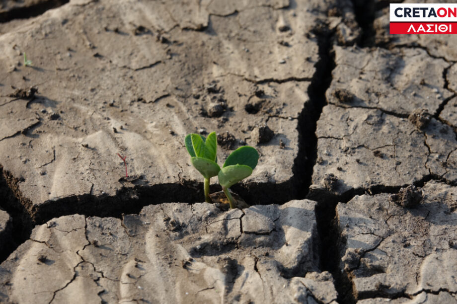Λειψυδρία Λασίθι
