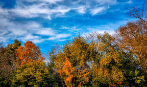 Καιρός: Πότε έρχονται οι Αλκυονίδες μέρες