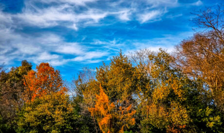 Καιρός ηλιοφάνεια Αλκυονίδες