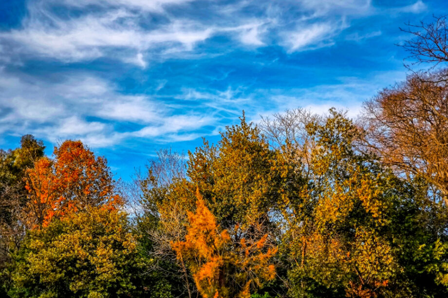 Καιρός ηλιοφάνεια Αλκυονίδες