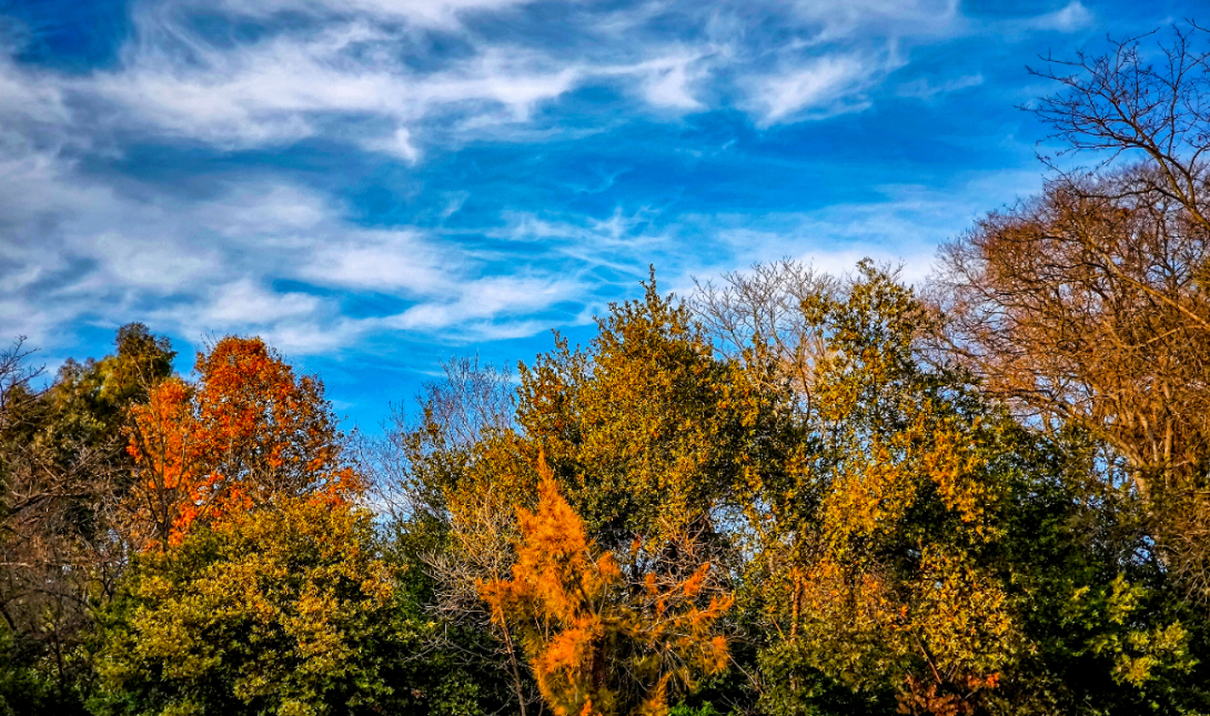 Καιρός ηλιοφάνεια Αλκυονίδες