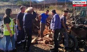 Λασίθι: Δωρεάν ξύλα μοίρασε σε πολίτες ο Δήμος Αγίου Νικολάου