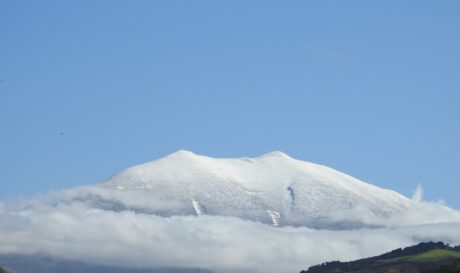 Ψηλορείτης