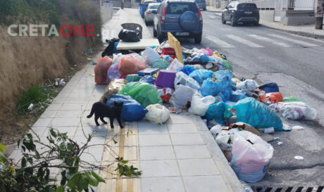Σκουπίδια Μεσσαμπελιές Παπαπέτρου Γαβαλά