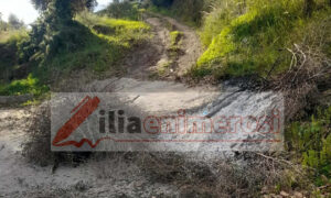 Θλίψη για τον 79χρονο που άφησε την τελευταία του πνοή καίγοντας κλαριά