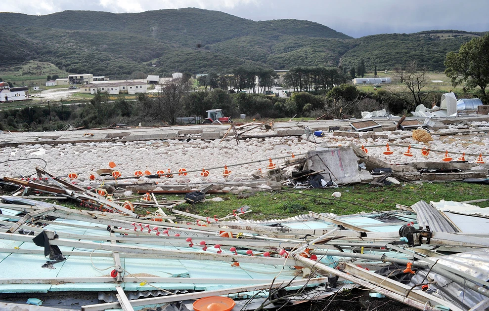 Ανεμοστρόβιλος κατέστρεψε πτηνοτροφεία – Νεκρά περισσότερα από 30.000 κοτόπουλα (φωτο)